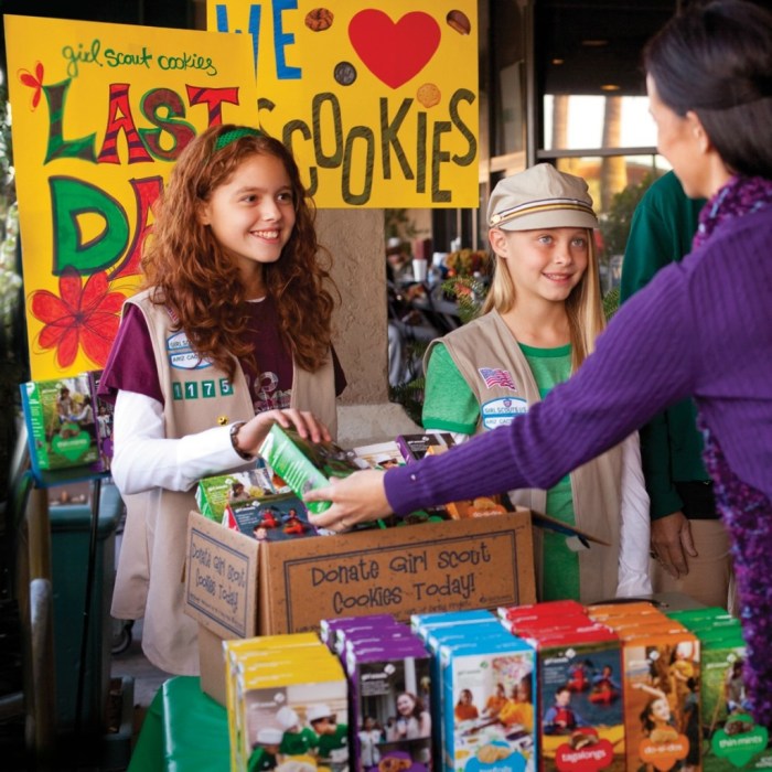 Jillian is selling boxes of cookies