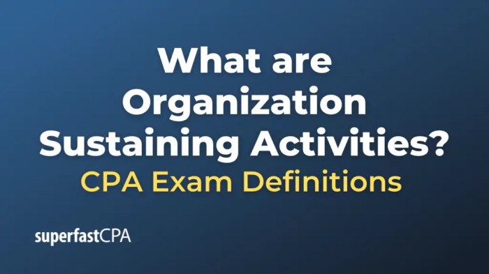 Organization-sustaining activities is another term for -level activities.